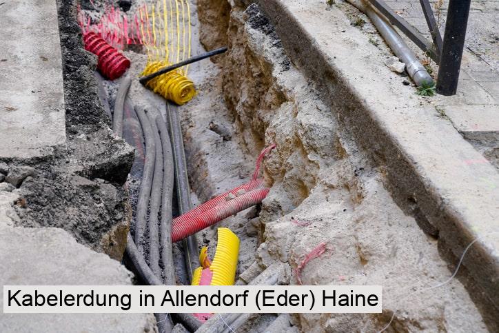 Kabelerdung in Allendorf (Eder) Haine